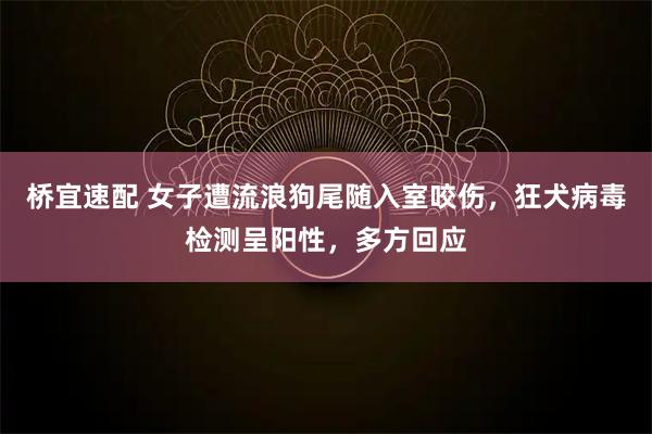 桥宜速配 女子遭流浪狗尾随入室咬伤，狂犬病毒检测呈阳性，多方回应