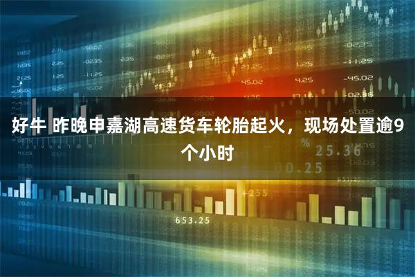 好牛 昨晚申嘉湖高速货车轮胎起火,现场处置逾9个小时