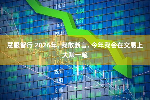 慧眼智行 2026年, 我敢断言, 今年我会在交易上大赚一笔